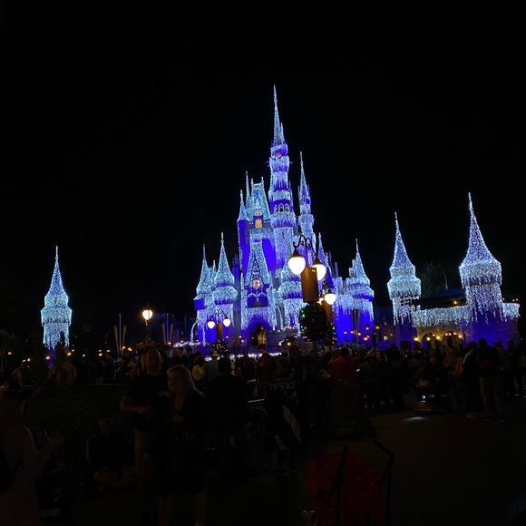 Meet your Posher, Rose - Picture 5 of 5